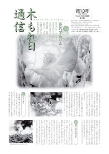 100_komorebi_013のサムネイル