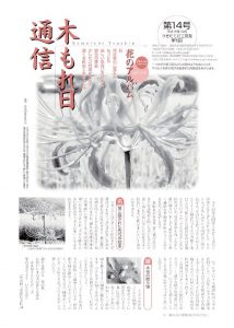 100_komorebi_014のサムネイル