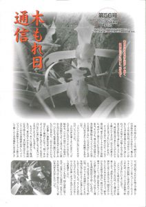 100_komorebi_056のサムネイル
