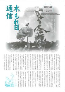 100_komorebi_066のサムネイル