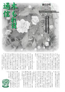 100_komorebi_069のサムネイル