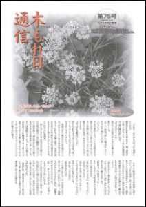木もれ日通信