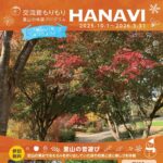 Hanavi2025下半期